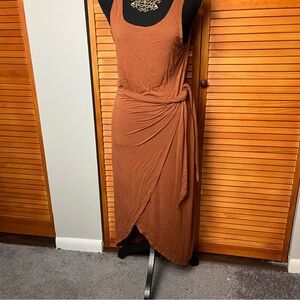 And Now This Brown  Dress